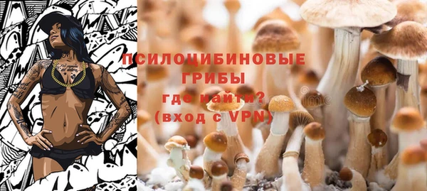 герыч Магас