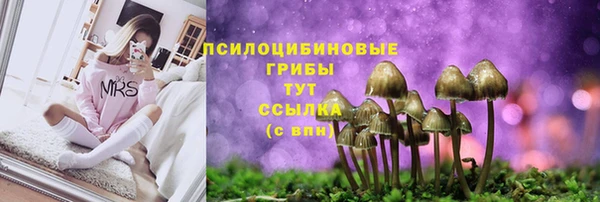 MDMA Магадан
