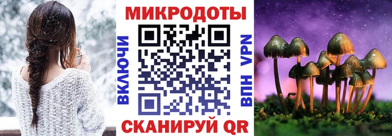 Псилоцибиновые грибы Psilocybine cubensis  OMG как зайти  Талдом  хочу наркоту 